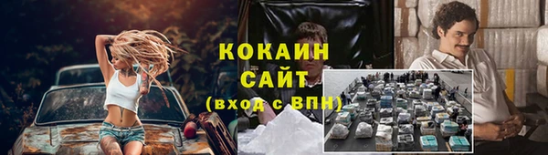 ГАЛЛЮЦИНОГЕННЫЕ ГРИБЫ Аркадак