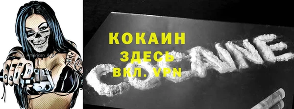 ешки Арсеньев