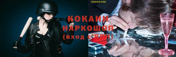 ГАЛЛЮЦИНОГЕННЫЕ ГРИБЫ Аркадак