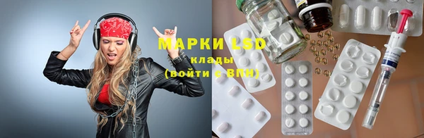ГАЛЛЮЦИНОГЕННЫЕ ГРИБЫ Аркадак