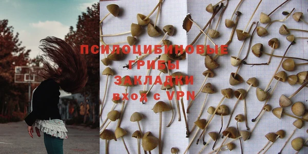 ешки Арсеньев