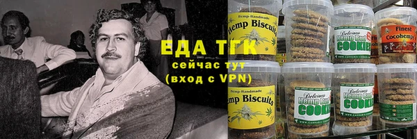 ГАЛЛЮЦИНОГЕННЫЕ ГРИБЫ Аркадак