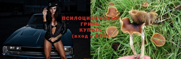 ГАЛЛЮЦИНОГЕННЫЕ ГРИБЫ Аркадак
