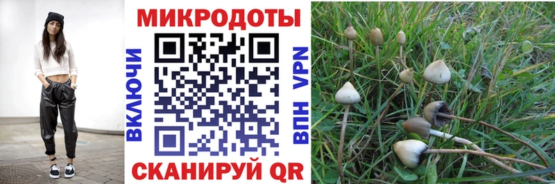 где найти   Трёхгорный  Галлюциногенные грибы Psilocybine cubensis 